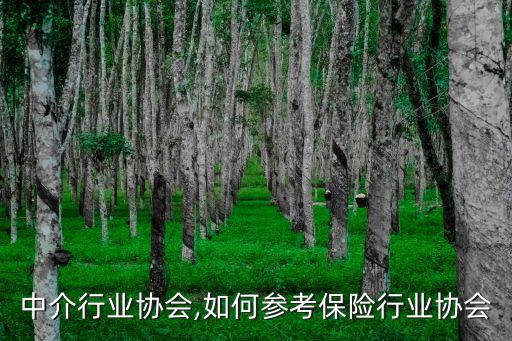 保险中介行业协会,如何参考保险行业协会?