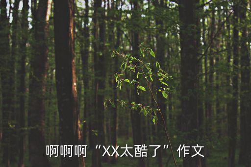 好爽啊啊啊“XX太酷了”作文