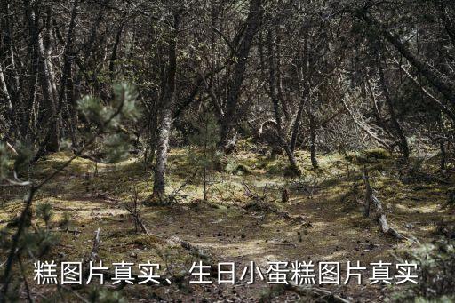 糕图片真实、生日小蛋糕图片真实