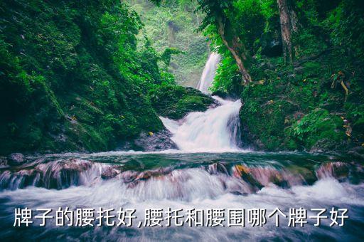 哪个牌子的腰托好,腰托和腰围哪个牌子好?