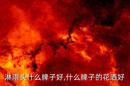 家用淋雨头什么牌子好,什么牌子的花洒好?