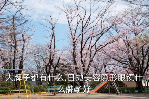 美瞳大牌子都有什么,日抛美容隐形眼镜什么牌子好?