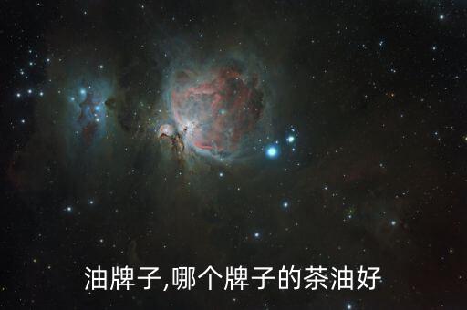 油牌子,哪个牌子的茶油好