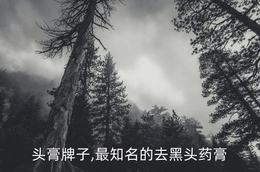 头膏牌子,最知名的去黑头药膏
