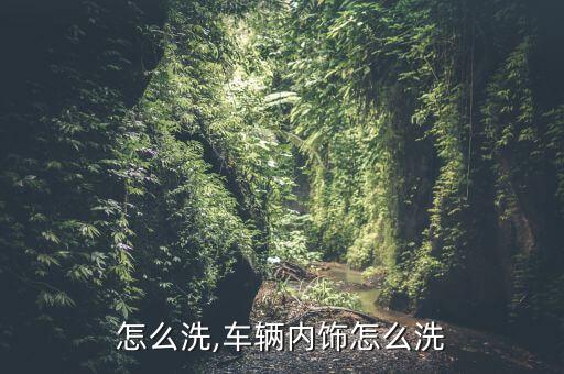 内饰怎么洗,车辆内饰怎么洗