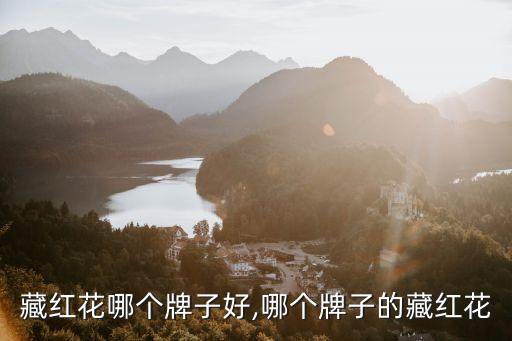 国产藏红花哪个牌子好,哪个牌子的藏红花?