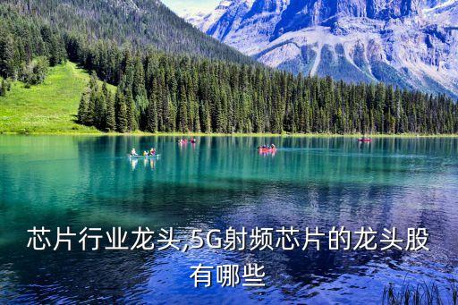 射频芯片行业龙头,5G射频芯片的龙头股有哪些?