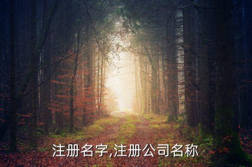 公司注册名字,注册公司名称