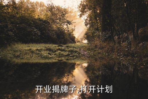 公司开业揭牌子,打开计划