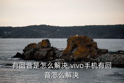 手机有回音是怎么解决,vivo手机有回音怎么解决?