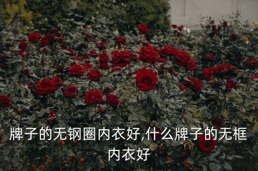 牌子的无钢圈内衣好,什么牌子的无框内衣好