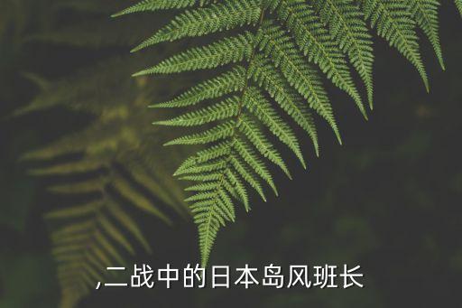 ,二战中的日本岛风班长