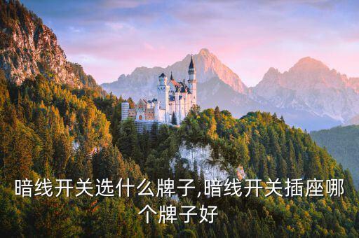 家用暗线开关选什么牌子,暗线开关插座哪个牌子好?