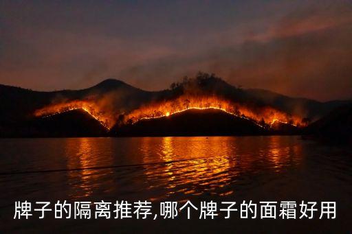 哪个牌子的隔离推荐,哪个牌子的面霜好用?