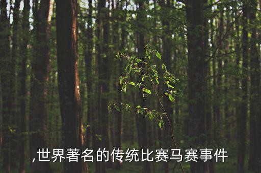 马赛,世界著名的传统比赛马赛事件