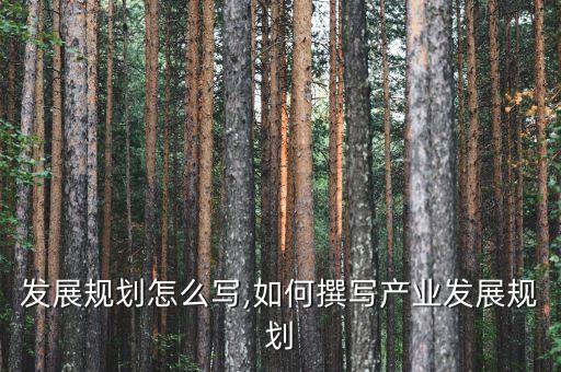 产业发展规划怎么写,如何撰写产业发展规划