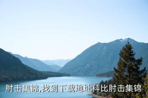 科比肘击集锦,找到下载地址科比肘击集锦