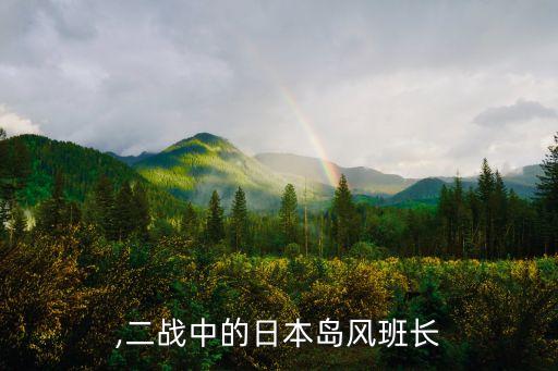 ,二战中的日本岛风班长