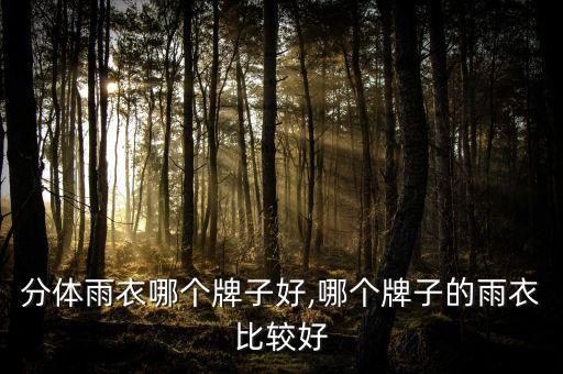 摩托分体雨衣哪个牌子好,哪个牌子的雨衣比较好?