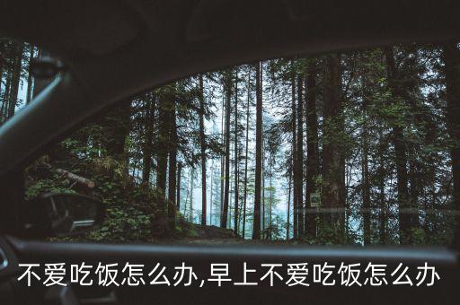 不爱吃饭怎么办,早上不爱吃饭怎么办