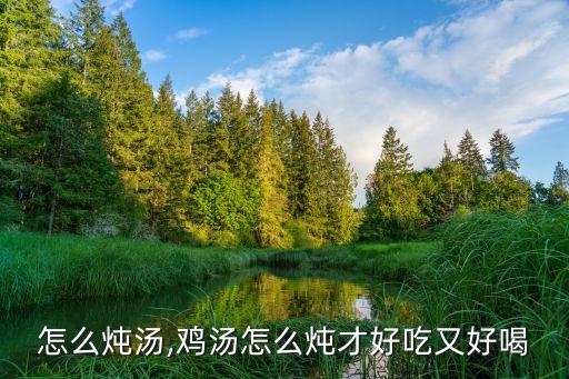 怎么炖汤,鸡汤怎么炖才好吃又好喝