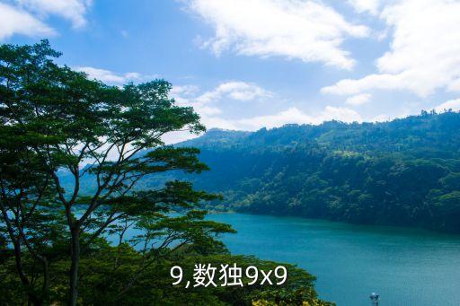 9x9,数独9x9