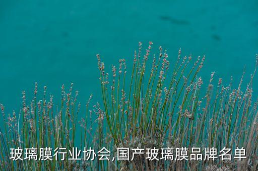 中国玻璃膜行业协会,国产玻璃膜品牌名单