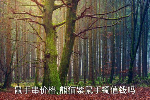 紫金鼠手串价格,熊猫紫鼠手镯值钱吗?