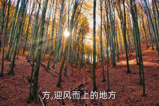 方,迎风而上的地方
