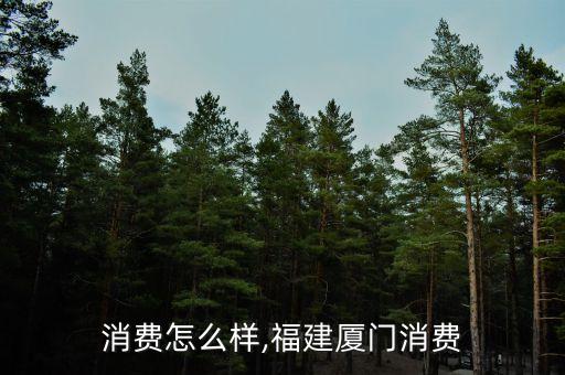 厦门消费怎么样,福建厦门消费