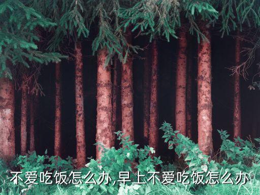 早上不爱吃饭怎么办,早上不爱吃饭怎么办?