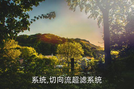 超滤系统,切向流超滤系统