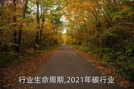 行业生命周期,2021年碳行业