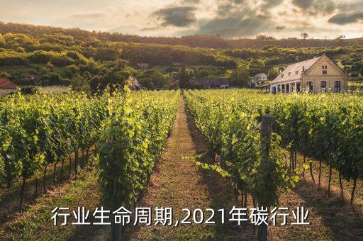 行业生命周期,2021年碳行业