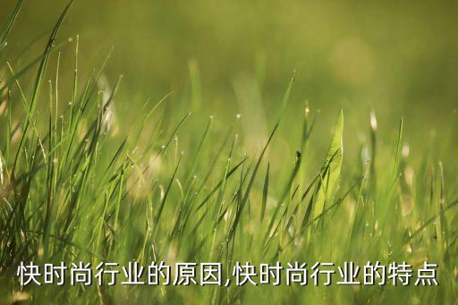 从事快时尚行业的原因,快时尚行业的特点