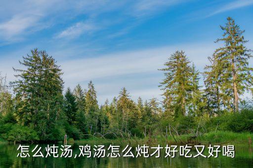 怎么炖汤,鸡汤怎么炖才好吃又好喝