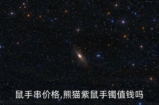 鼠手串价格,熊猫紫鼠手镯值钱吗
