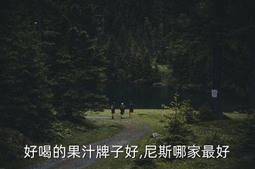 泰国好喝的果汁牌子好,尼斯哪家最好?