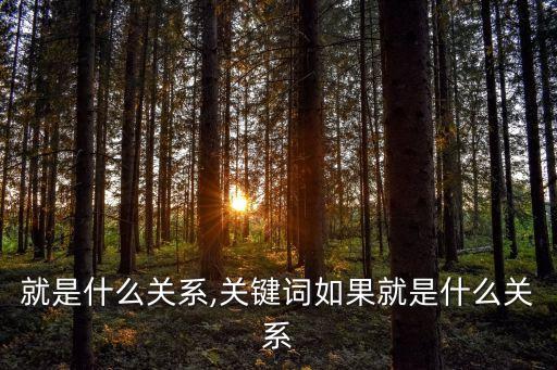就是什么关系,关键词如果就是什么关系