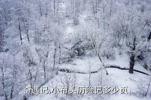 火车奇遇记,小布头历险记多少页?
