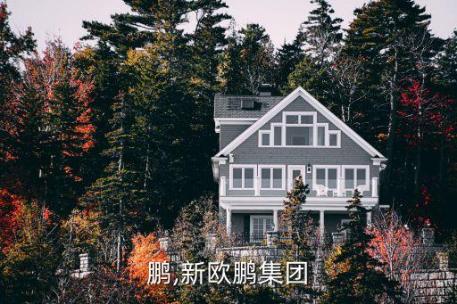 鹏,新欧鹏集团