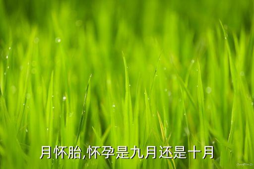月怀胎,怀孕是九月还是十月