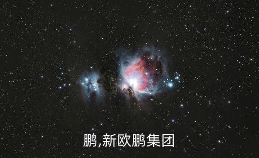 鹏,新欧鹏集团
