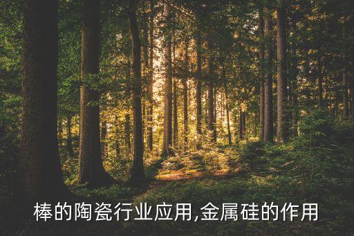 硅钼棒的陶瓷行业应用,金属硅的作用