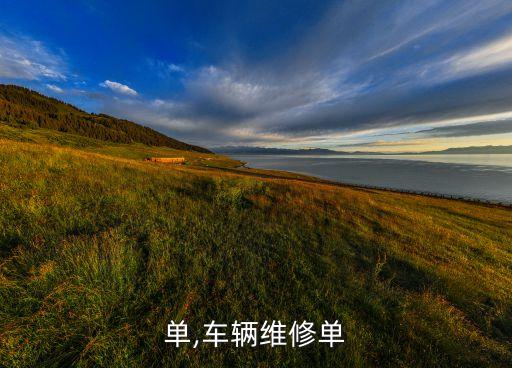 维修单,车辆维修单