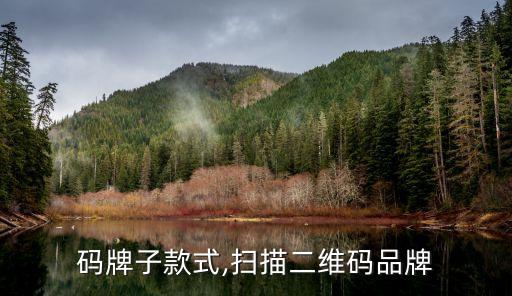 码牌子款式,扫描二维码品牌