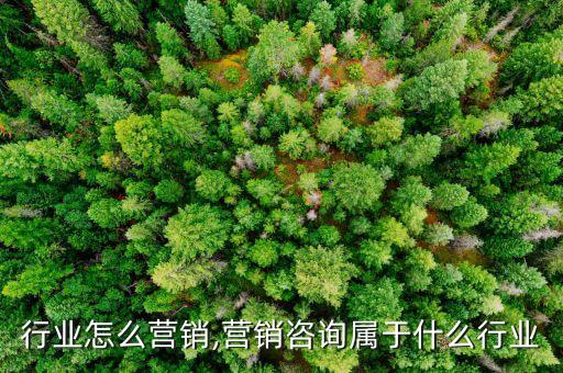 咨询行业怎么营销,营销咨询属于什么行业?