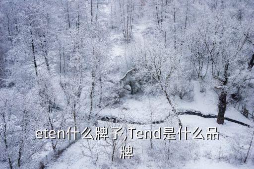 theten什么牌子,Tend是什么品牌?