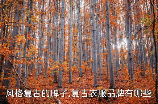 风格复古的牌子,复古衣服品牌有哪些