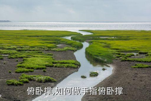 两指俯卧撑,如何做手指俯卧撑